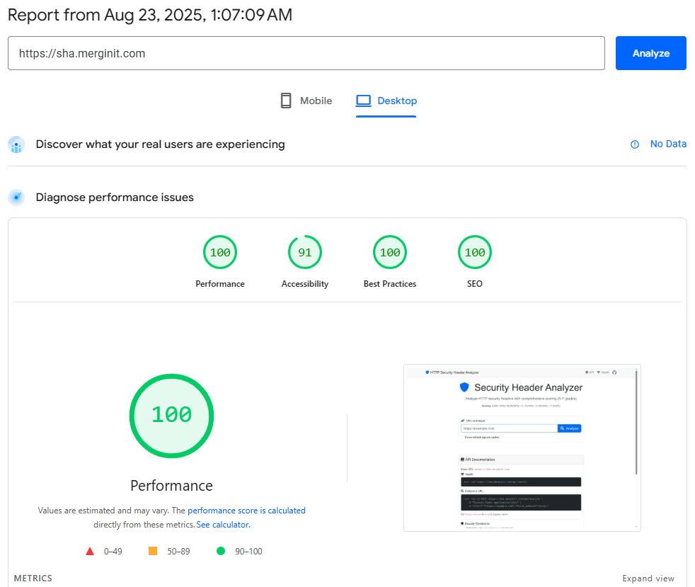 Google PageSpeed Insights tool showing website performance metrics